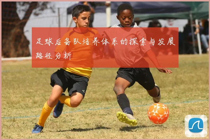 足球后备队培养体系的探索与发展路径分析