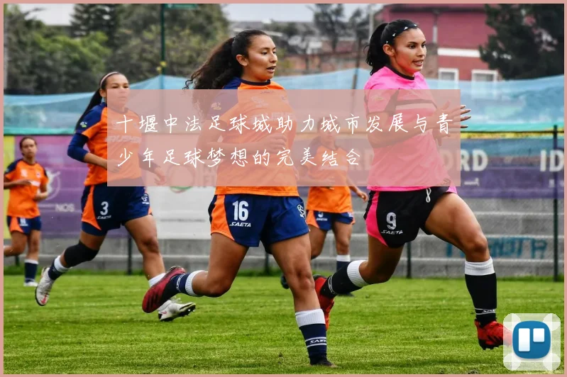 十堰中法足球城助力城市发展与青少年足球梦想的完美结合